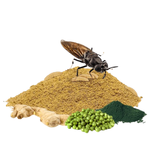 Ração Bsf Black Soldier Fly Crisps 30g Poytara