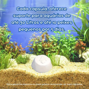 Ração de Férias 5 Dias 6g Nutral