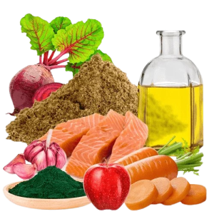 Ração Jabuti 75g Poytara