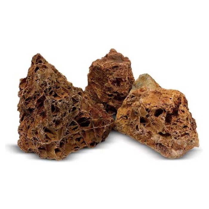 Rocha Maple Stone Leaf/Honey 15-25cm Kilo