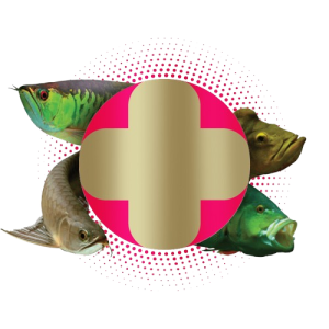 Ração Immunity Monster Floating P 600g Poytara