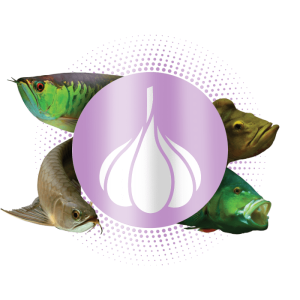 Ração Garlic Monsters Floating P 600g Poytara
