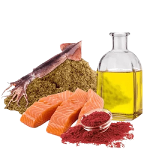 Ração Carnivoros de Fundo 500g Poytara