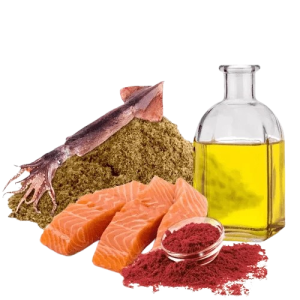 Ração Carnivoros de Superfice 800g Poytara