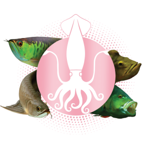 Ração Squid Monster Floating P 600g Poytara