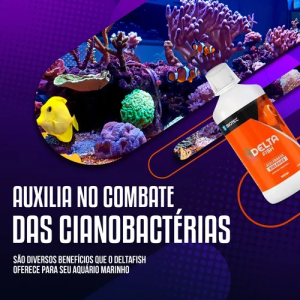 Acelerador Biólogioco Delta Fish Marinho 100ml Zbiotec