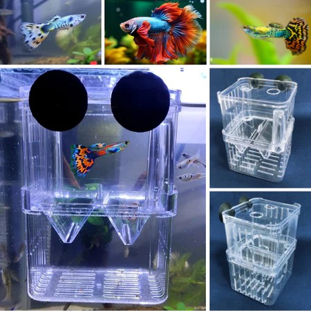 Criadeira 11 x 13,5 x 7,5 Ace Pet
